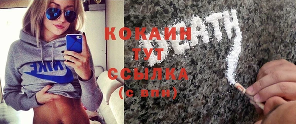 хмурый Арсеньев