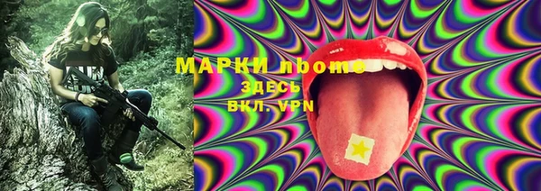 хмурый Арсеньев