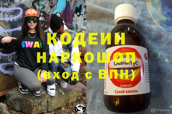 хмурый Арсеньев