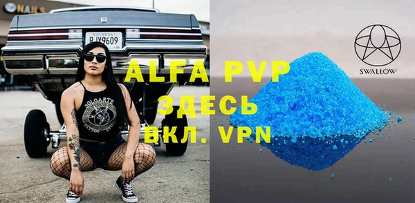 хмурый Арсеньев